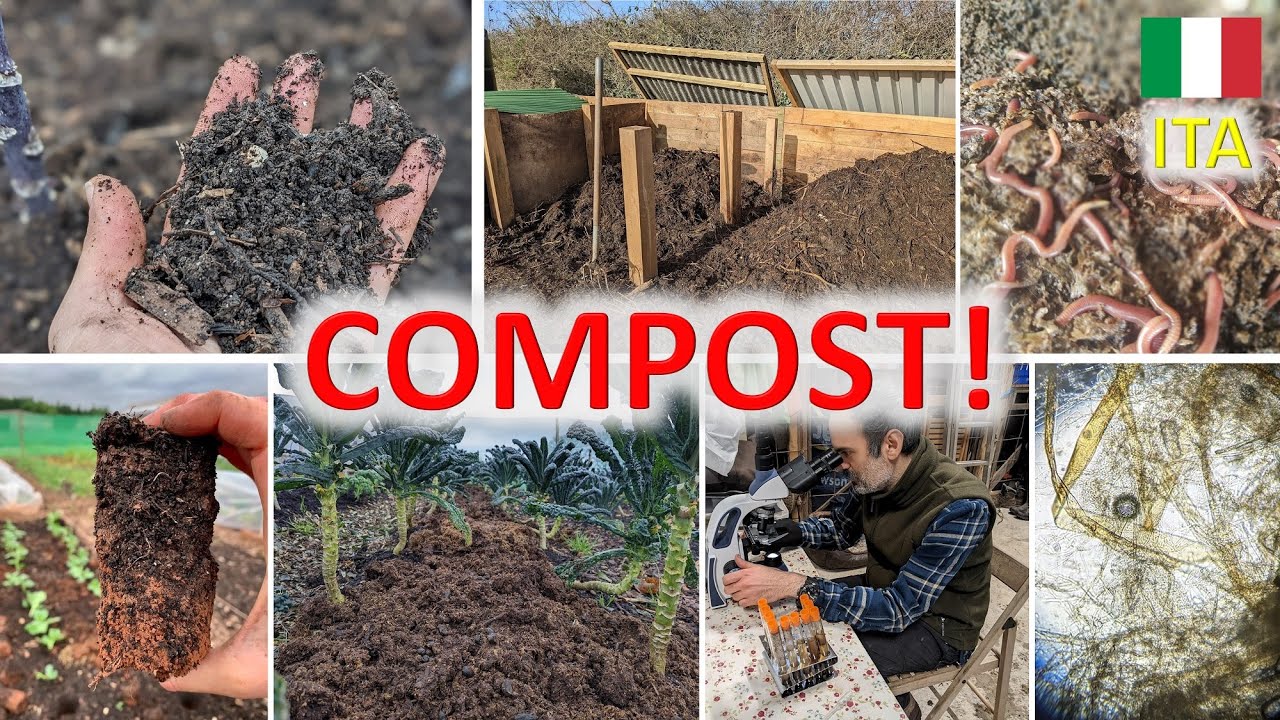 Compost autoprodotto nell'orto no-dig