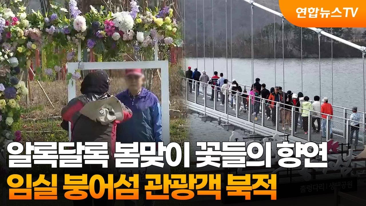 알록달록 봄맞이 꽃들의 향연…임실 붕어섬 관광객 북적 / 연합뉴스TV (YonhapnewsTV)