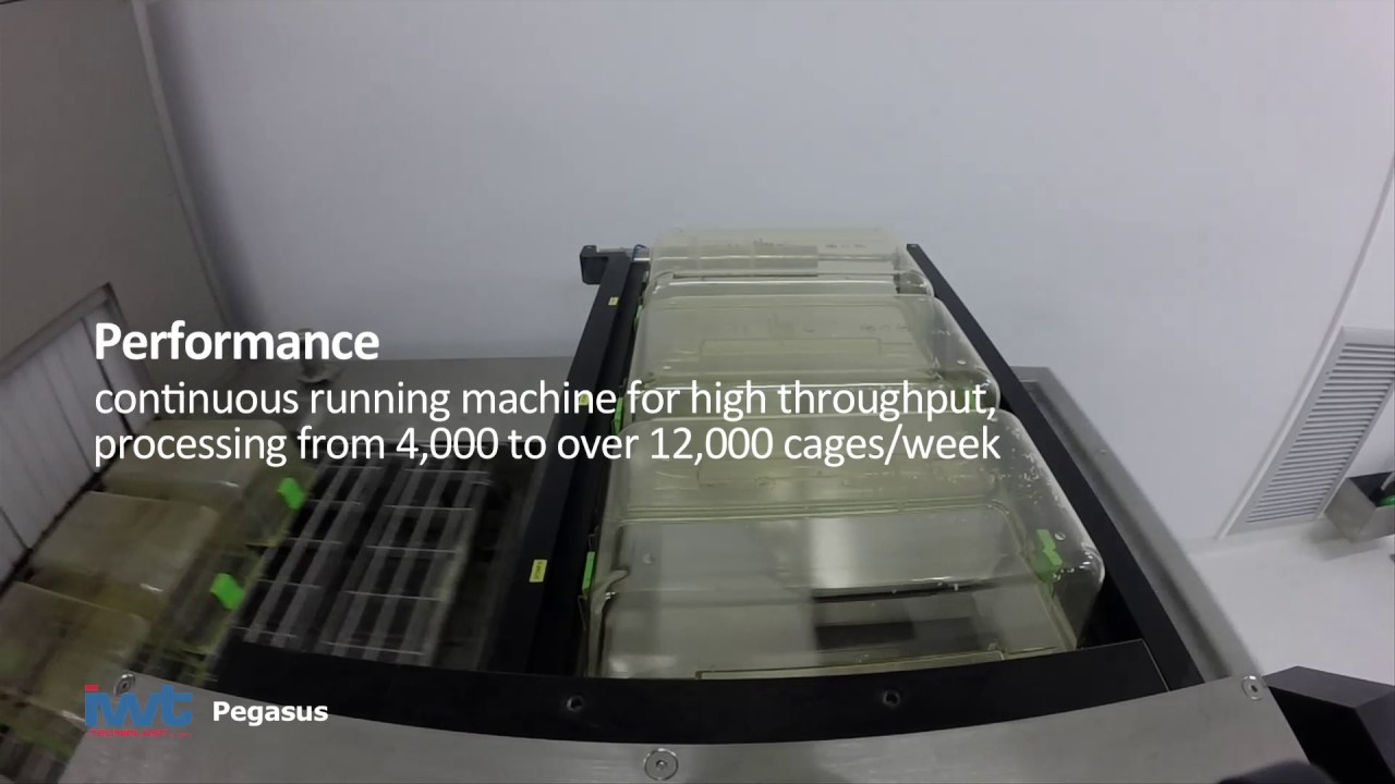 IWT PEGASUS Tunnel Wash Automation (Tecniplast)