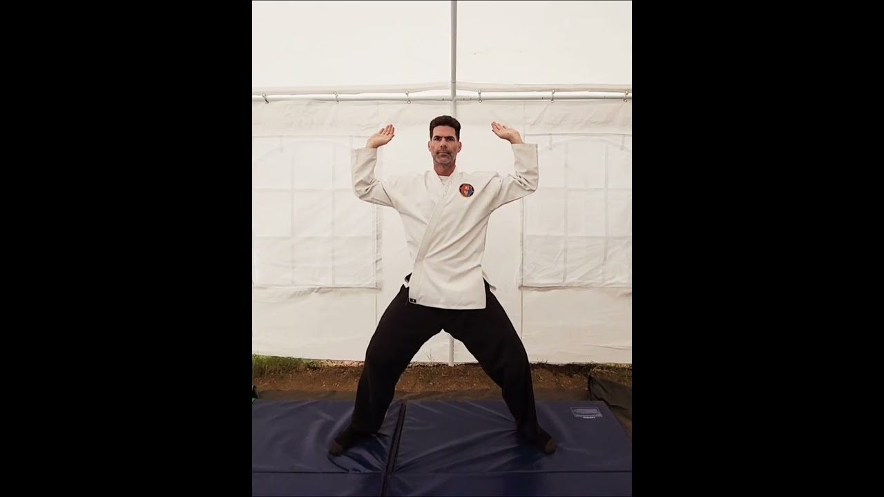 Qigong:The Bear (movement 1 of 5) #qigong #thebear #health #grounding #selfhealth