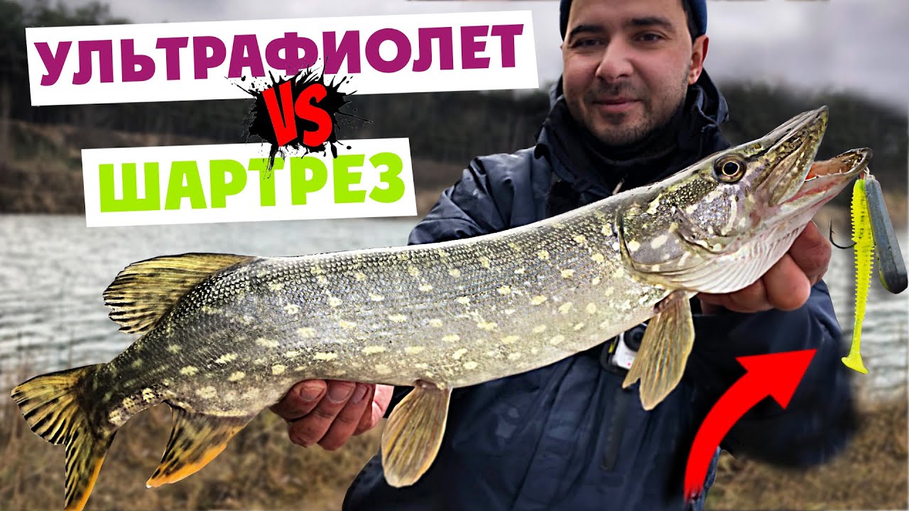 Самый УЛОВИСТЫЙ цвет приманки на ЩУКУ зимой! Ультрафиолет или Кислотные оттенки? Ловля на спиннинг