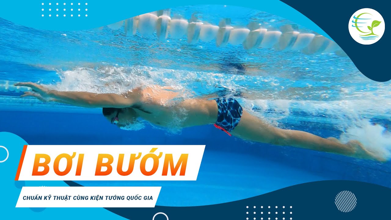 Học bơi bướm - Dạy bơi chi tiết từng bước cơ bản nhất - Bể bơi bốn mùa Hoàng Mai