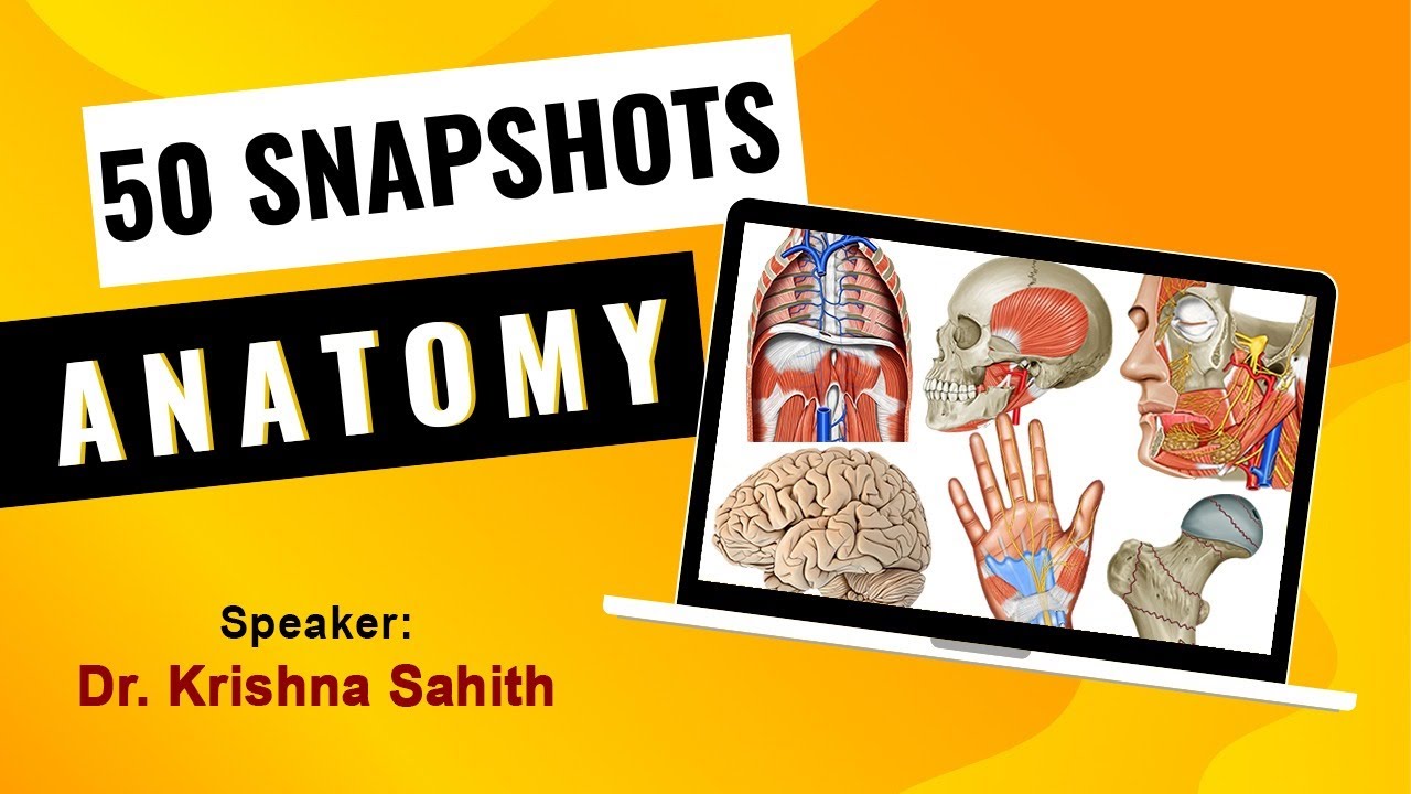 50 Snapshots / Important Image Based Questions Of Anatomy By Dr Krishna Sahith - Fmge And Neet pg