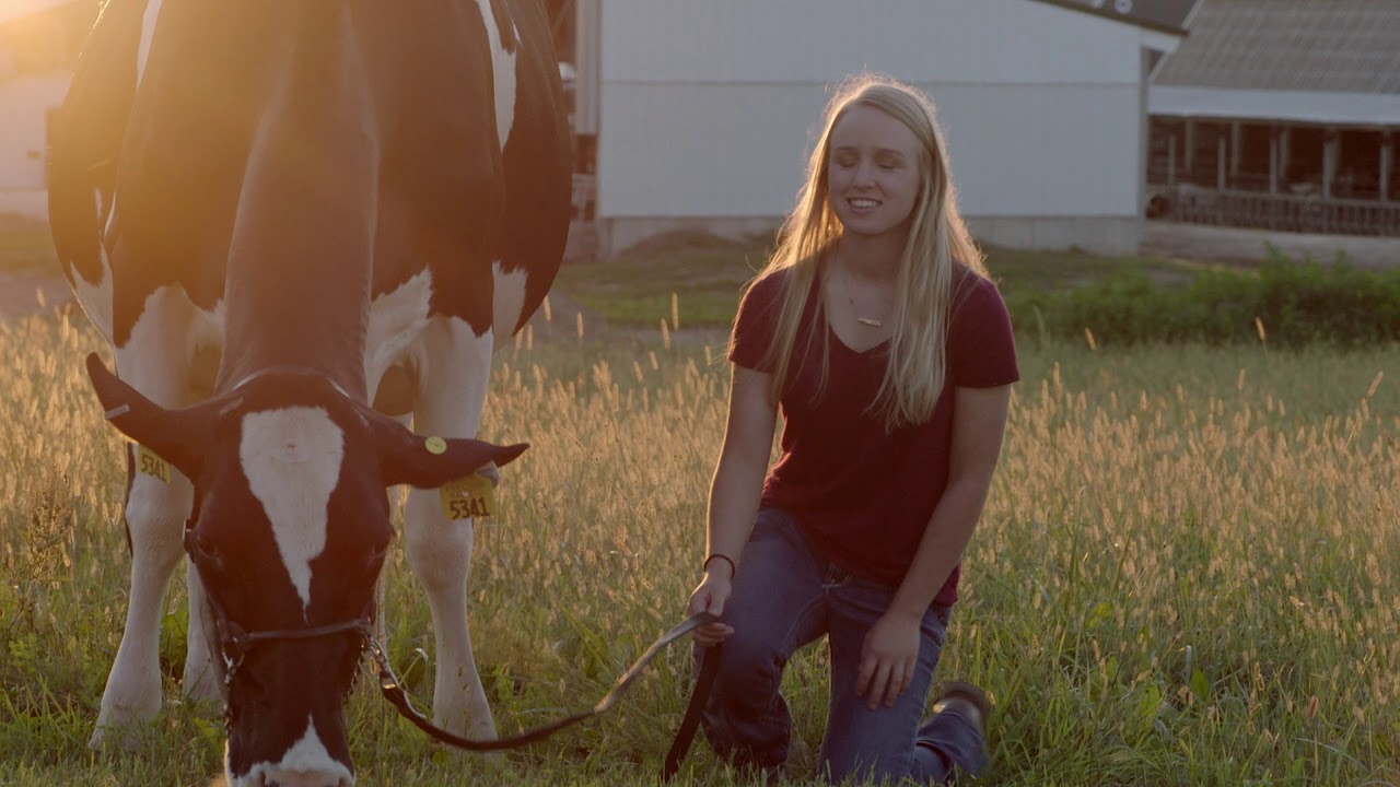 Dairy Farmers of Wisconsin: Follow the Light