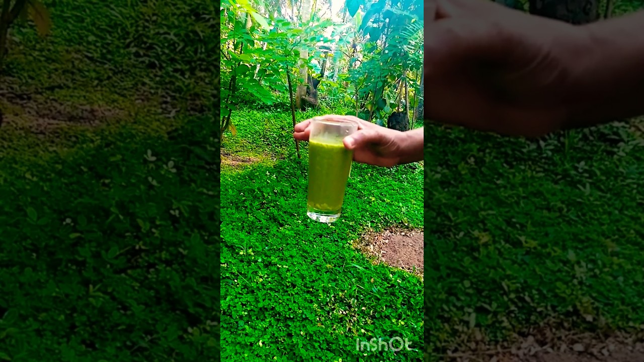 කොලෙස්ටරෝල් නසන යකිනාරං කැද😋👌#shorts#short#Yaki naran kola keda#cooking#youtubeshorts#dilta cook