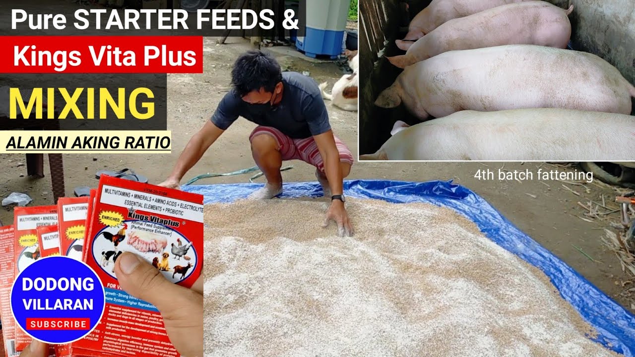 Pure STARTER FEEDS & KINGS VITA PLUS Animal Feed Supplement l Mixing l Vlog 186