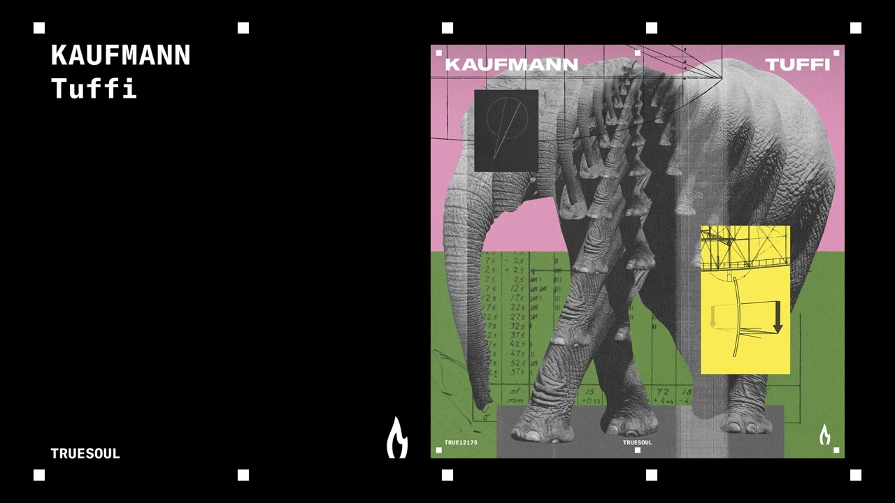 Kaufmann - Weird Flex | Truesoul