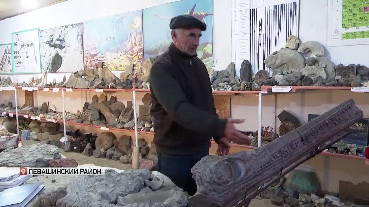 Омар Хаписов. Охотник за окаменелостями