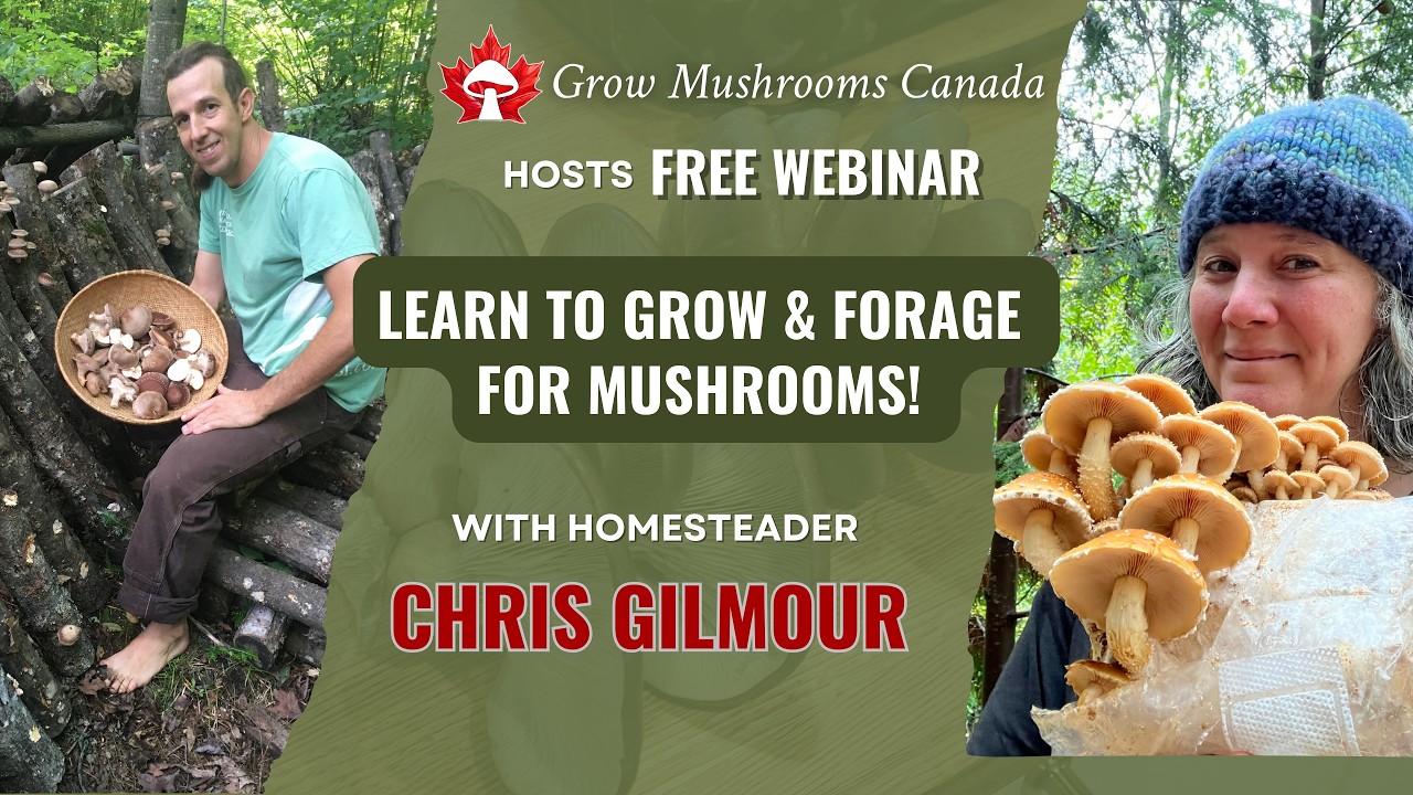 How To Grow & Forage Mushrooms with Guest Chris Gilmour