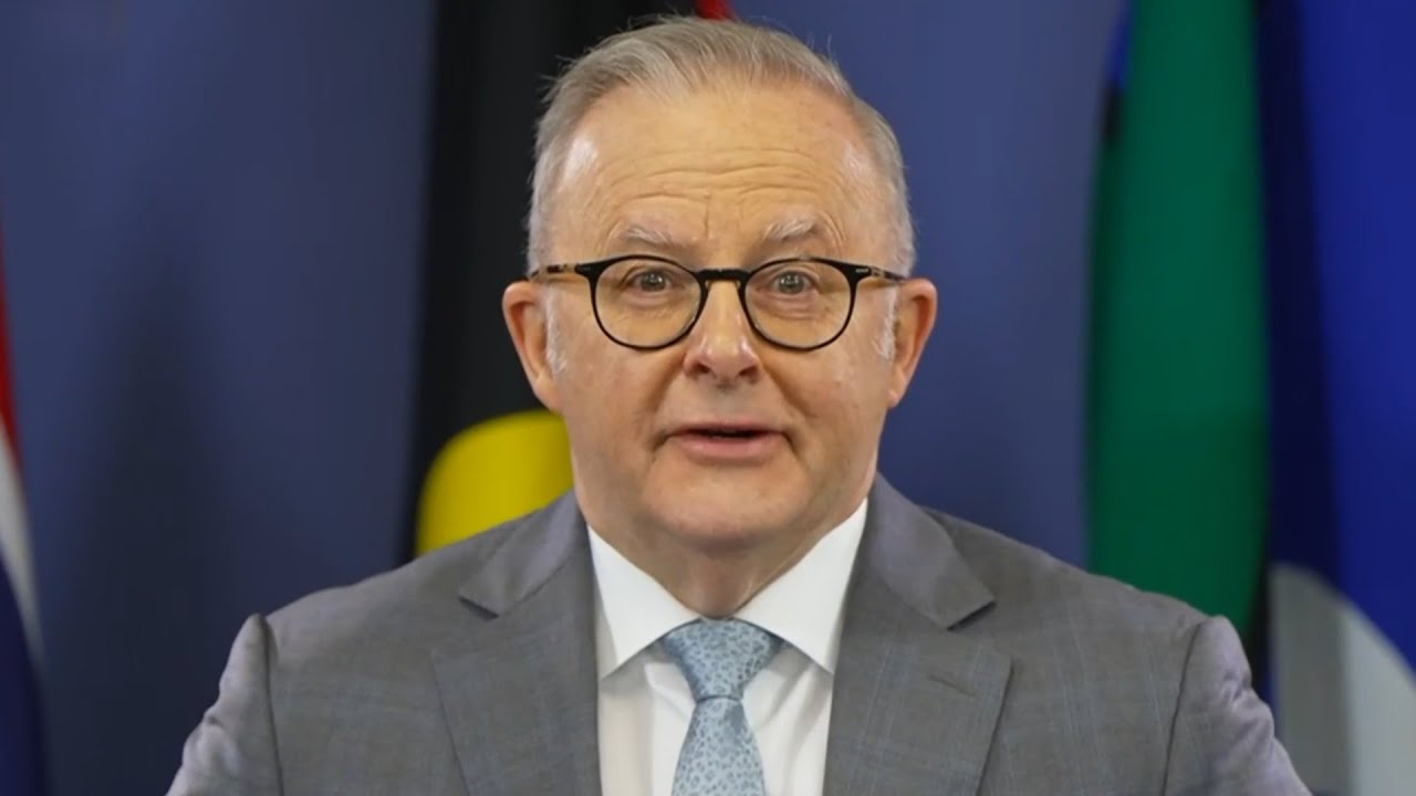 Anthony Albanese&rsquo;s negative gearing criticism has &lsquo;cost him to this day&rsquo;