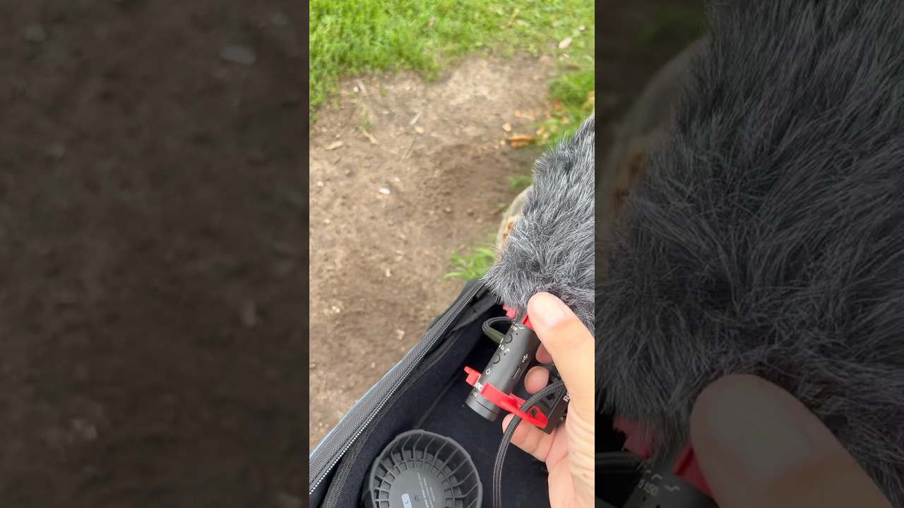 Три брата-акробата. Rode Videomic NTG, Zoom M3 MicTrak, Zoom H1e