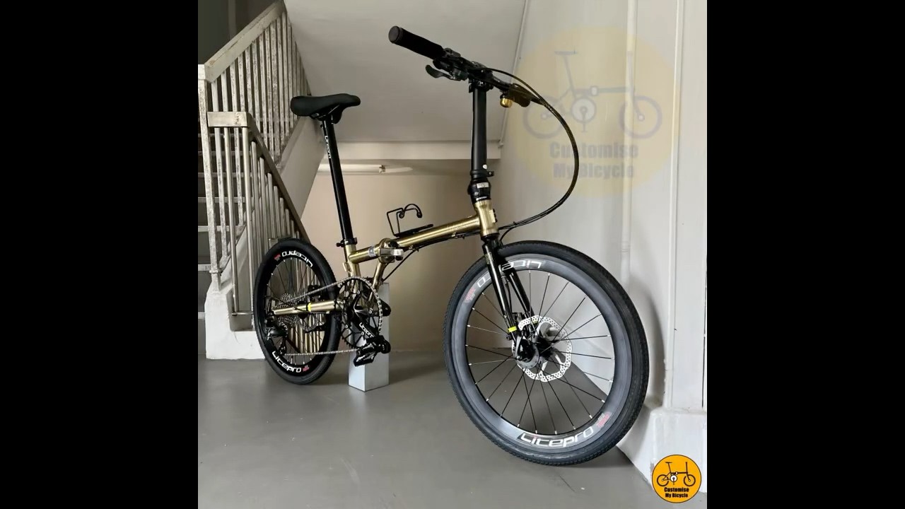 Fnhon Gust 22-Inch Folding Bike &bull; Titanium Gold &bull; Premium Colour  #fnhon #foldablebicycle #bikelife