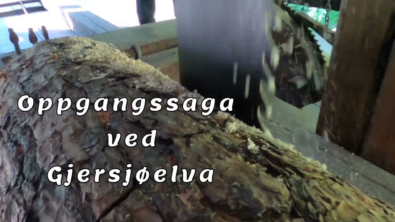 Fikk privat omvisning på oppgangssaga ved Gjersjøelva