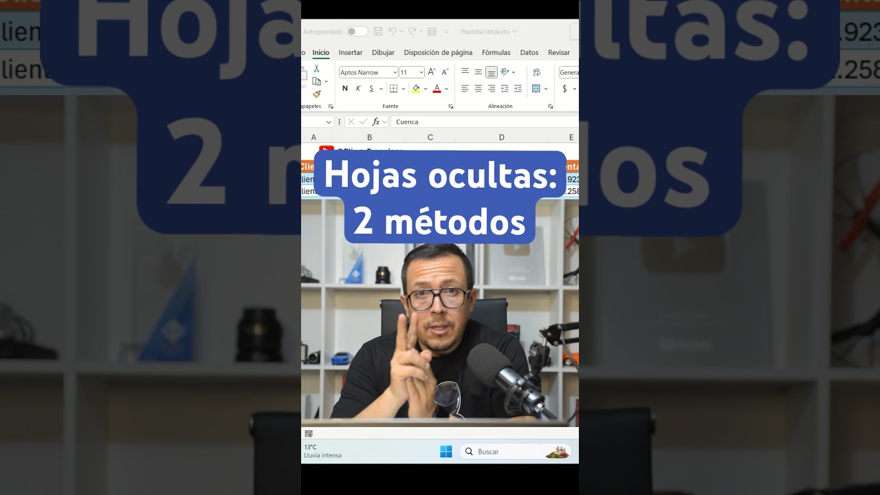 C&oacute;mo esconder las hojas de Excel para protegerla de intrusos&hellip;