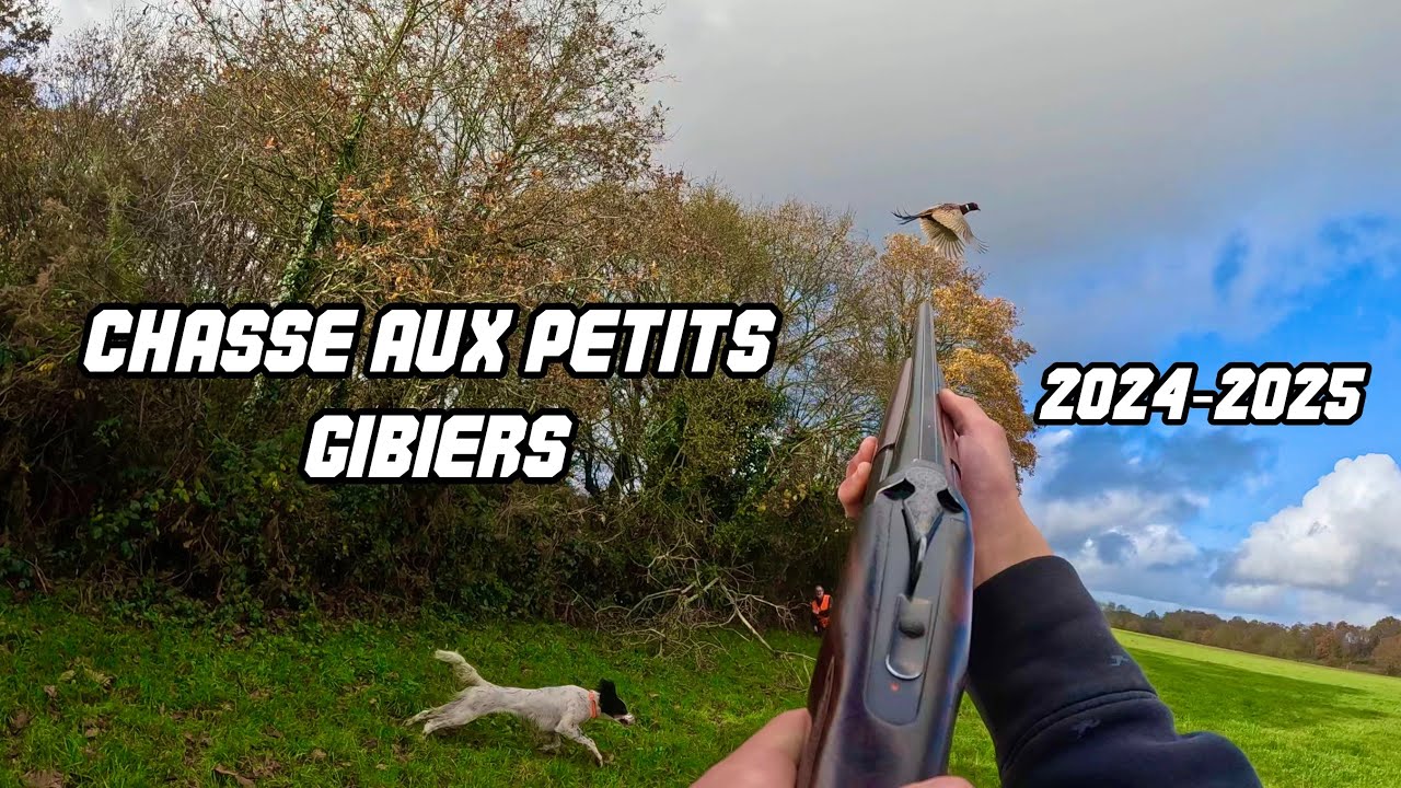 Chasse aux petits gibiers - ALEXIS CHASSE