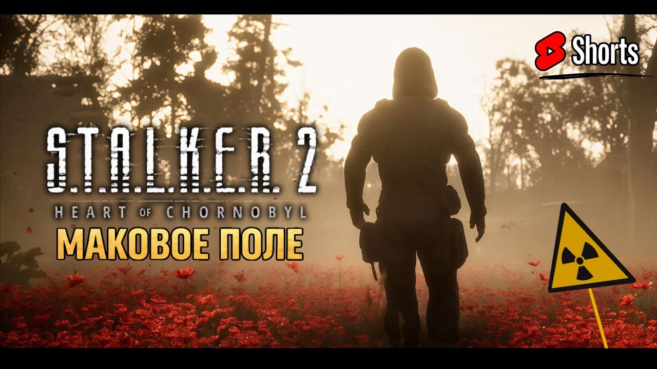 ☢️Не попасть в аномалию | S.T.A.L.K.E.R. 2: Heart of Chornobyl [2024] #2 #shorts #PavelOK10 #stalker
