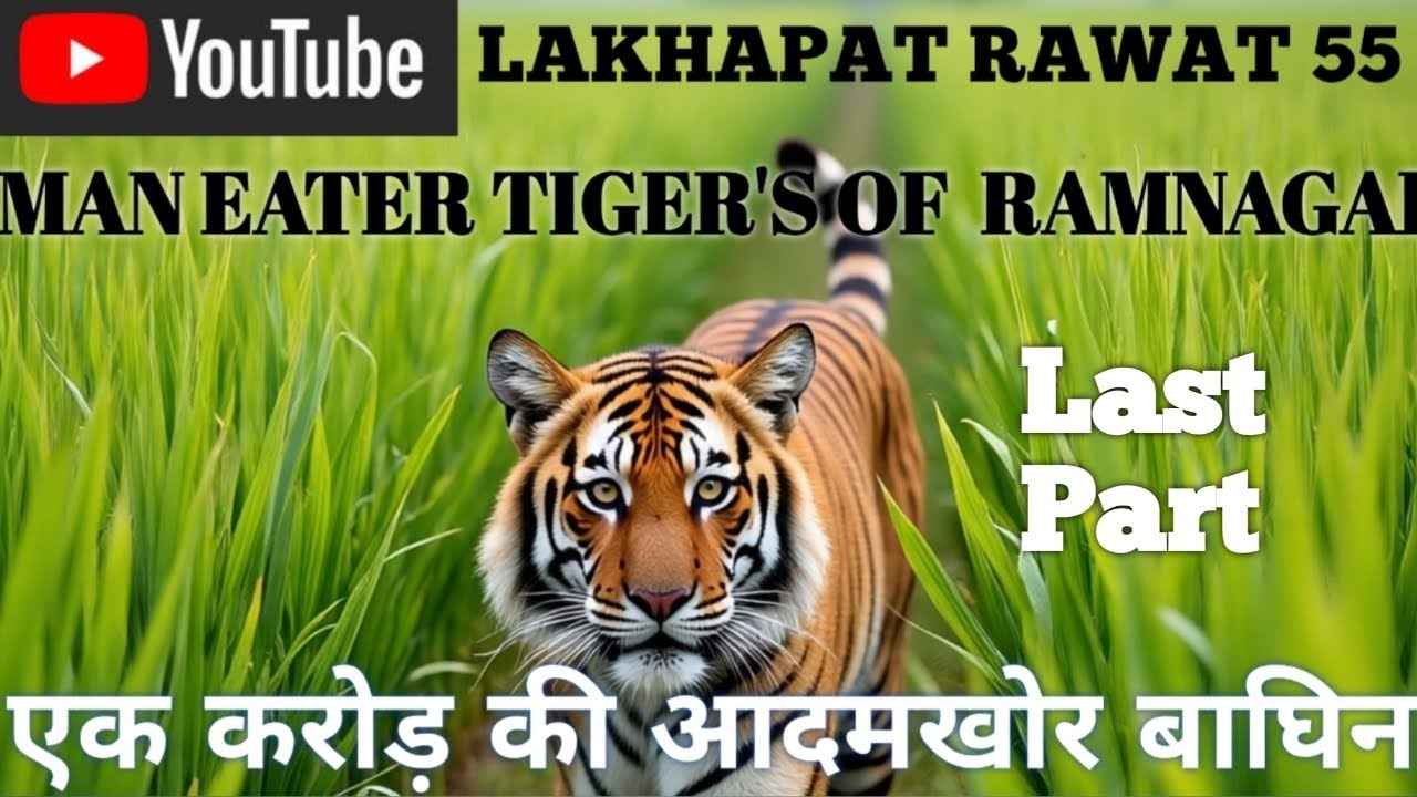  MANEATER TIGERESS OF RAMNAGAR UTTARAKHAND Last Part एक करोड़ की आदमखोर बाघिन का अंतिम भाग