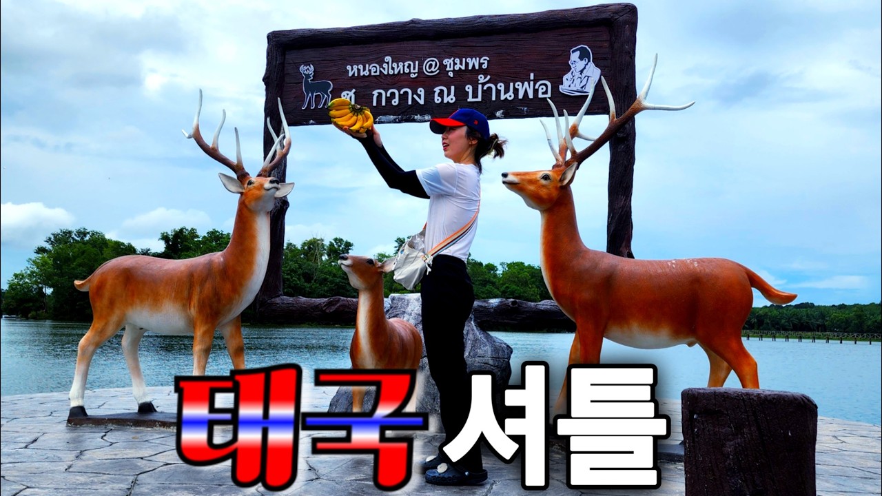 춤폰, 태국 사슴님께 바나나 셔틀한 날