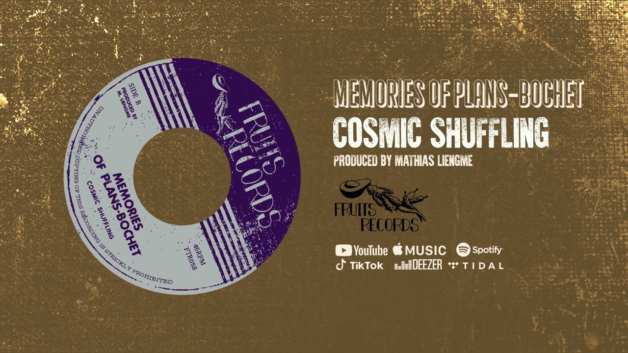 Cosmic Shuffling - Memories of Plans-Bochet [Official Audio]