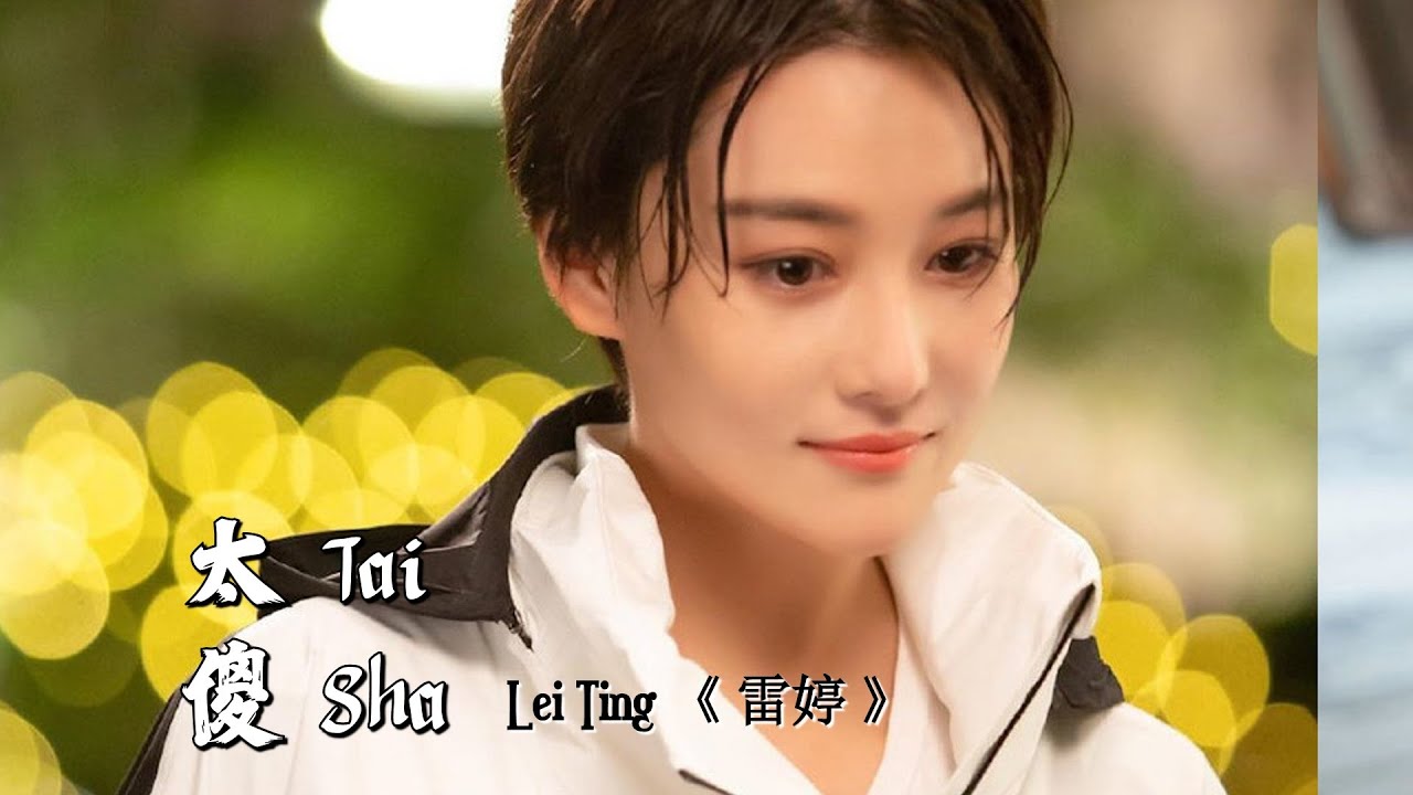 Tai Sha 《 太傻 》 (Too stupid)  ---  Lei Ting 《 雷婷 》