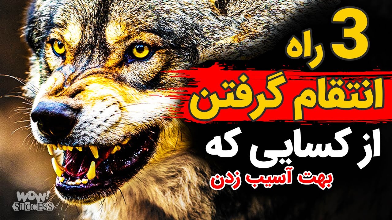سه راه انتقام گرفتن از کسایی که بهت آسیب زدن