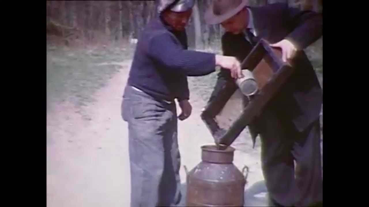 Fiskepleje ved Karup Å omkring år 1950