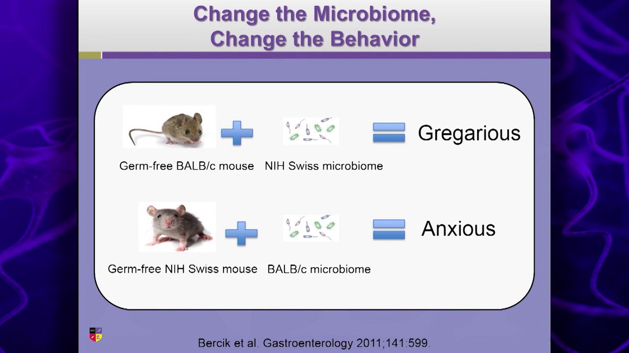Fecal Transplant Studies and Mental Health
