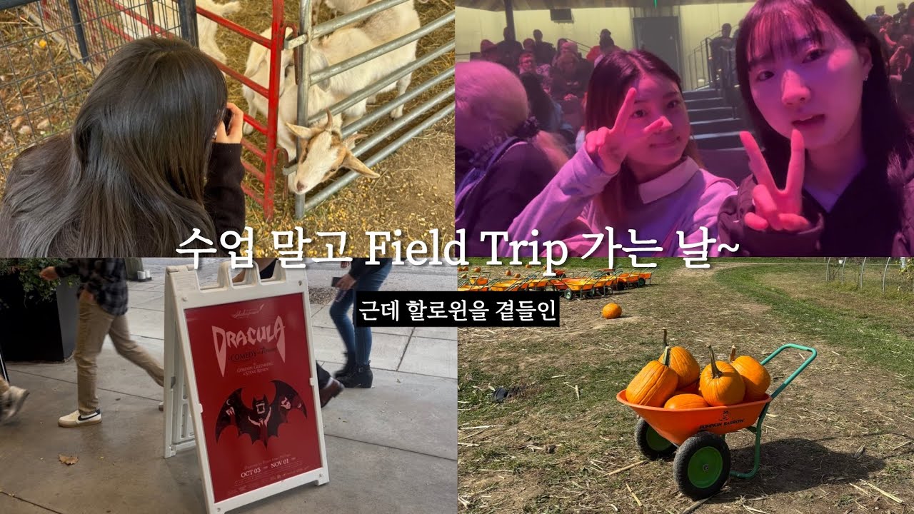[NKU ep.8] AELP 장점 = Field Trip🎃 | NKU 일상 | 미리보는 할로윈 | 호박밭 구경가기 | 드라큘라 🦇