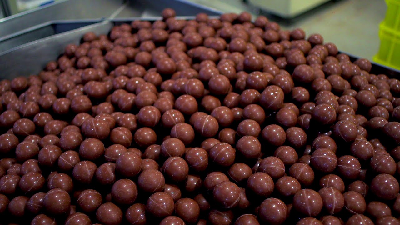 El Viaje del Chocolate | Compañía Nacional de Chocolates
