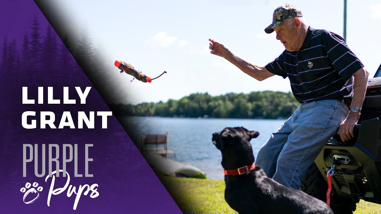 Purple Pups Featuring Bud Grant | Minnesota Vikings