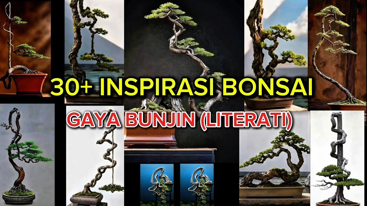30+ INSPIRASI BONSAI GAYA BUNJIN (GAYA LITERATI)