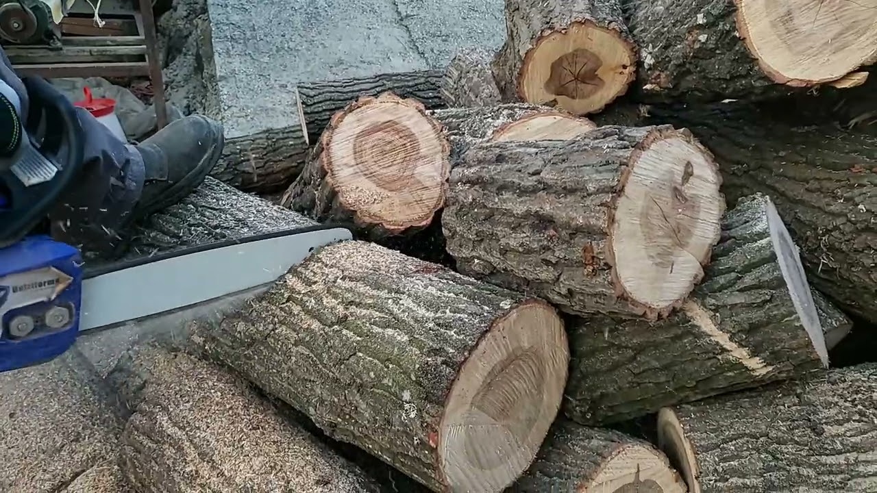 Merge fantastic Holzfforma G 255 dupa 4 ani