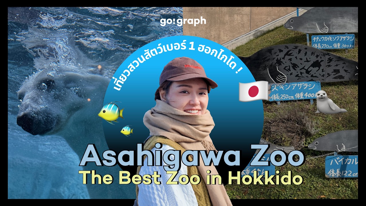 เช็คอิน Asahiyama Zoo สวนสัตว์ที่ดังที่สุดในฮอกไกโด