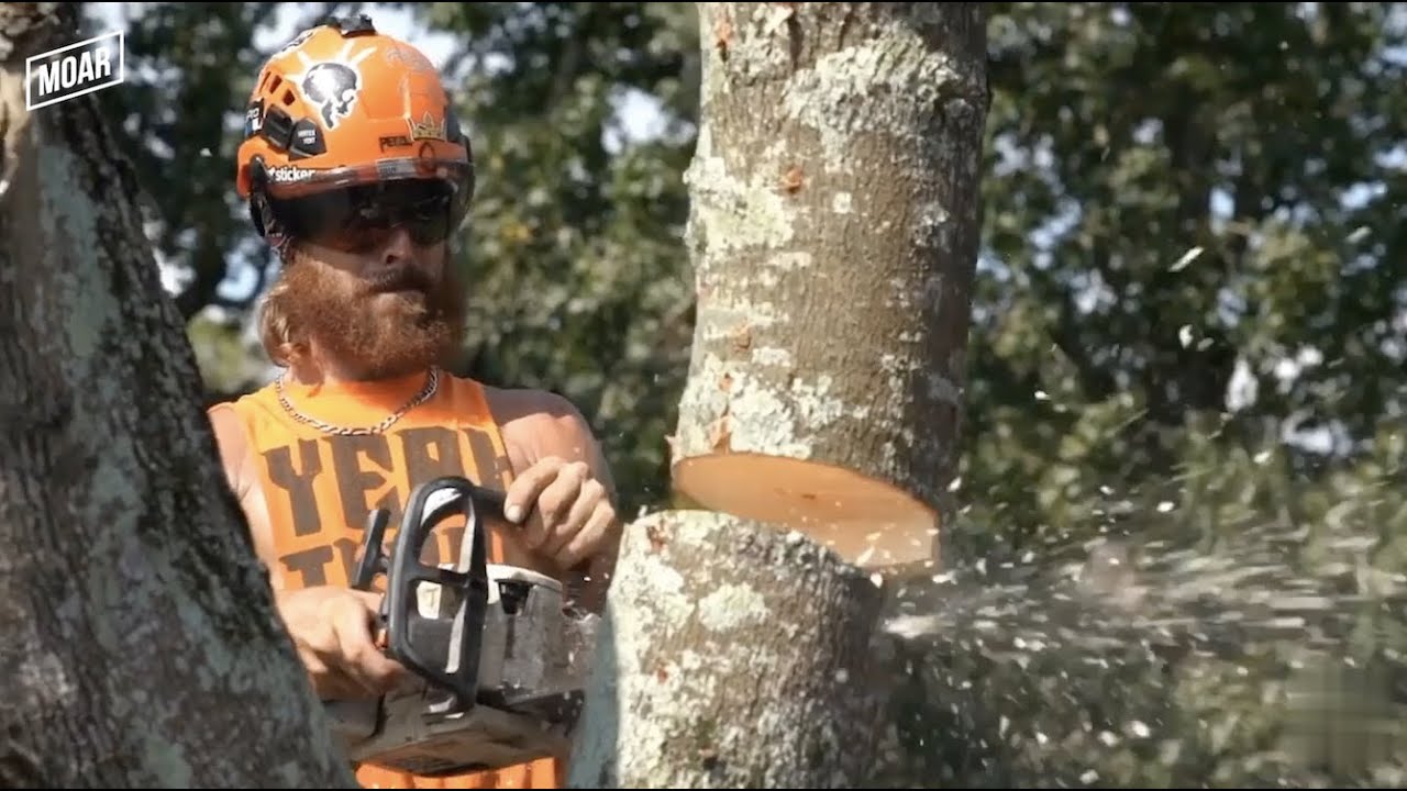 The Hippie Tree Cutters of New Orleans - [Yeah Trees] - Documentary