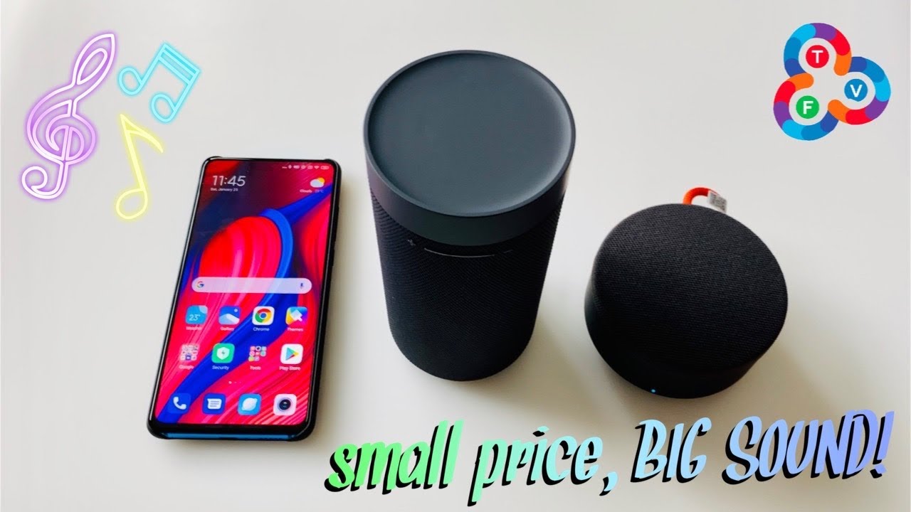 Mi Outdoor Bluetooth Speaker & Speaker Mini Review - Small Price, Big Sound!