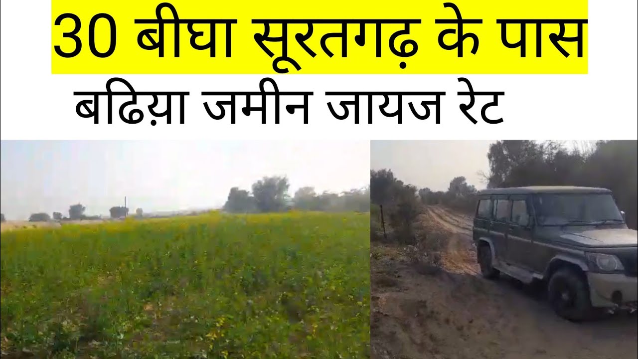 सूरतगढ़ की 30 बीघा जमीन बिकाऊ।Suratgarh ki Jameen bikau।#rajsthanproperty #farming #land #agriculture