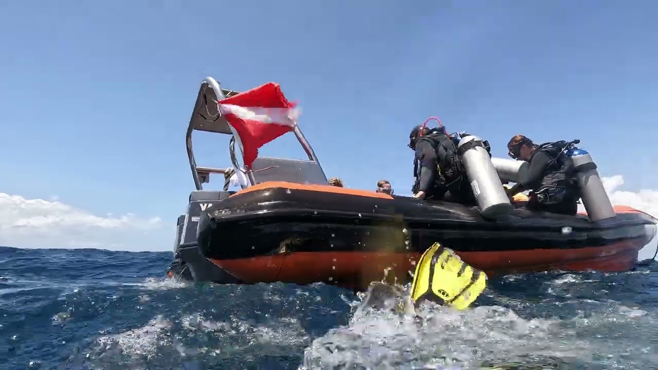 Duiken met de boot aan de Noord kant van Curaçao... met Haaien in een grot en Roggen 14-07-2022