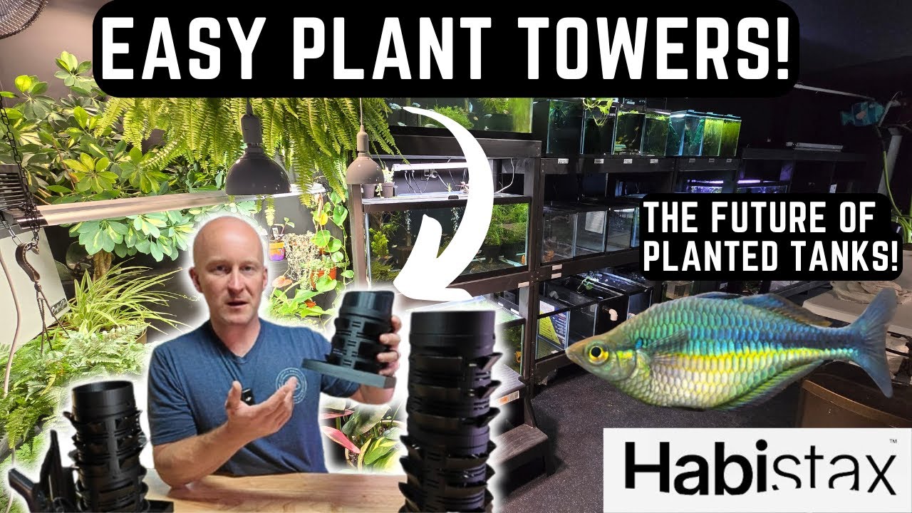 THESE NEW PLANT TOWERS WILL CHANGE THE WAY YOU KEEP AQUARIUMS! (4K TUTORIAL)