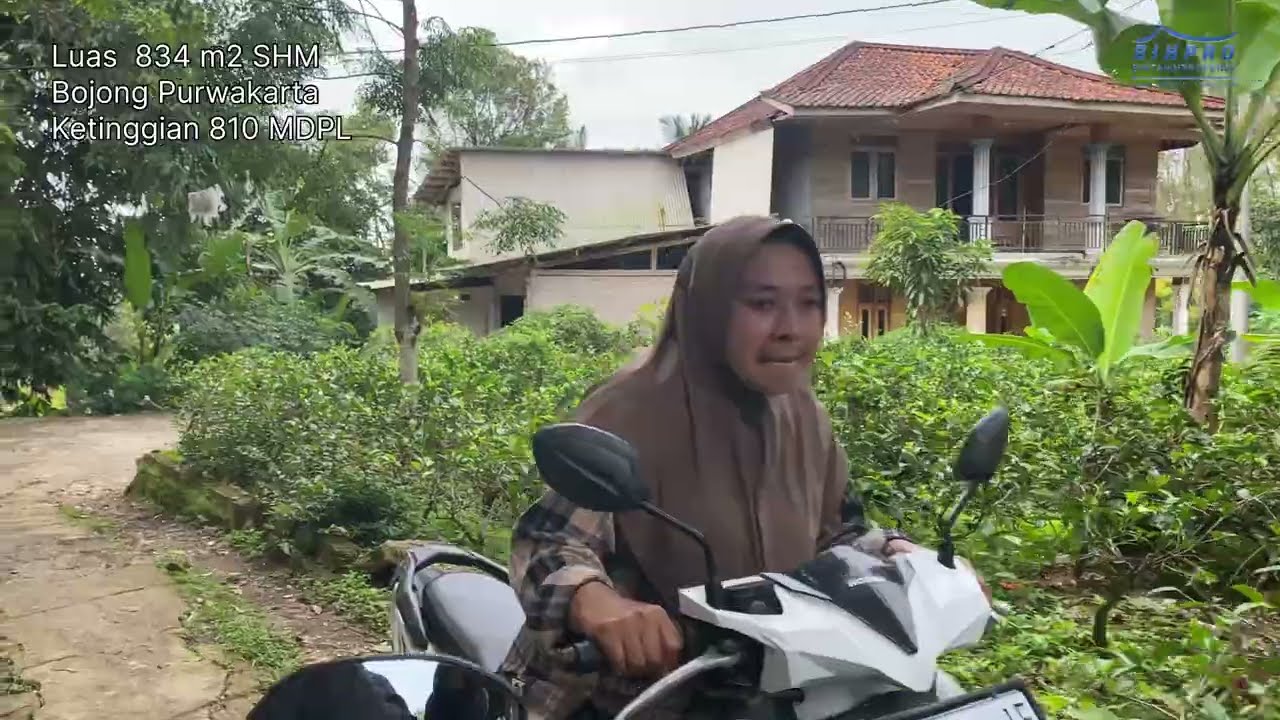 REVIEW Tanah Kebun Cengkeh Luas 843 m2 | Sudah Terjual
