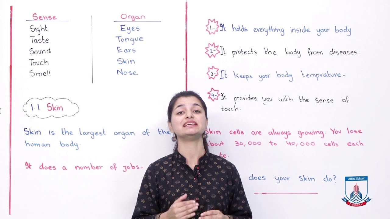 Class 3 - Science - Chapter 1 - Lecture 1 - 1.1 Skin - Allied Schools