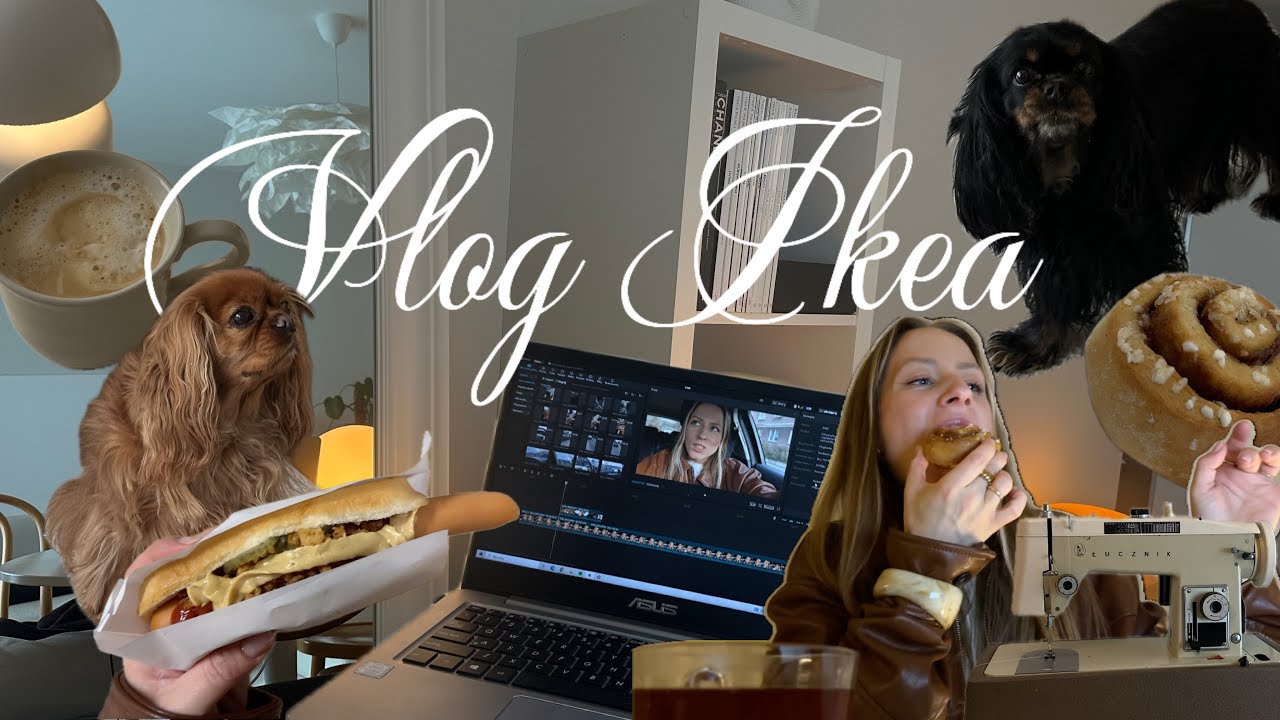 🎥 Vlog Ikea DIY | garderoba | KOLIZJA 🚗 ~Moda, Wnętrza, DIY, pieski | Cavalier King Charles Spaniel