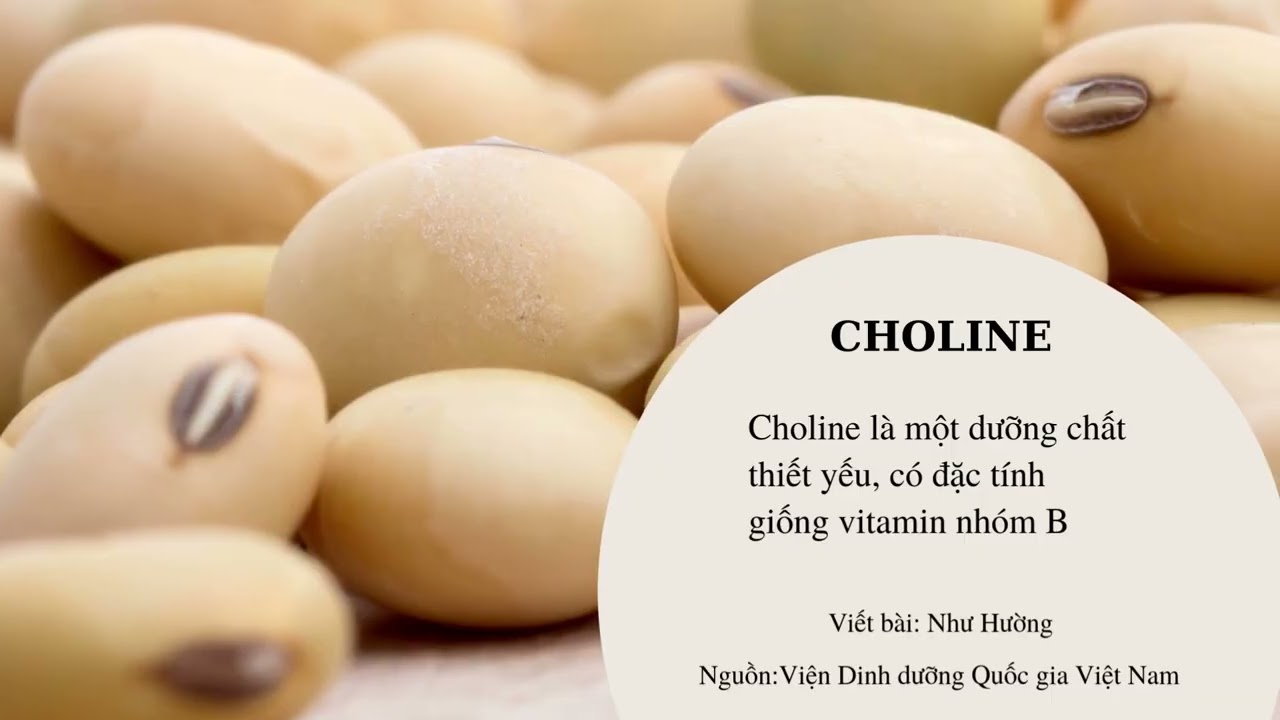 06/01/2026 BẢN TIN  ẨM THỰC - KIẾN THỨC DINH DƯỠNG: CHOLINE  - ẨM THỰC VÙNG MIỀN: TRỨNG