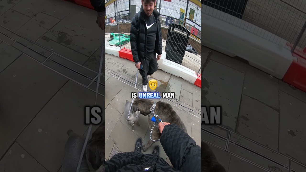 You Won't Believe How People React to This Dog 🐕👇