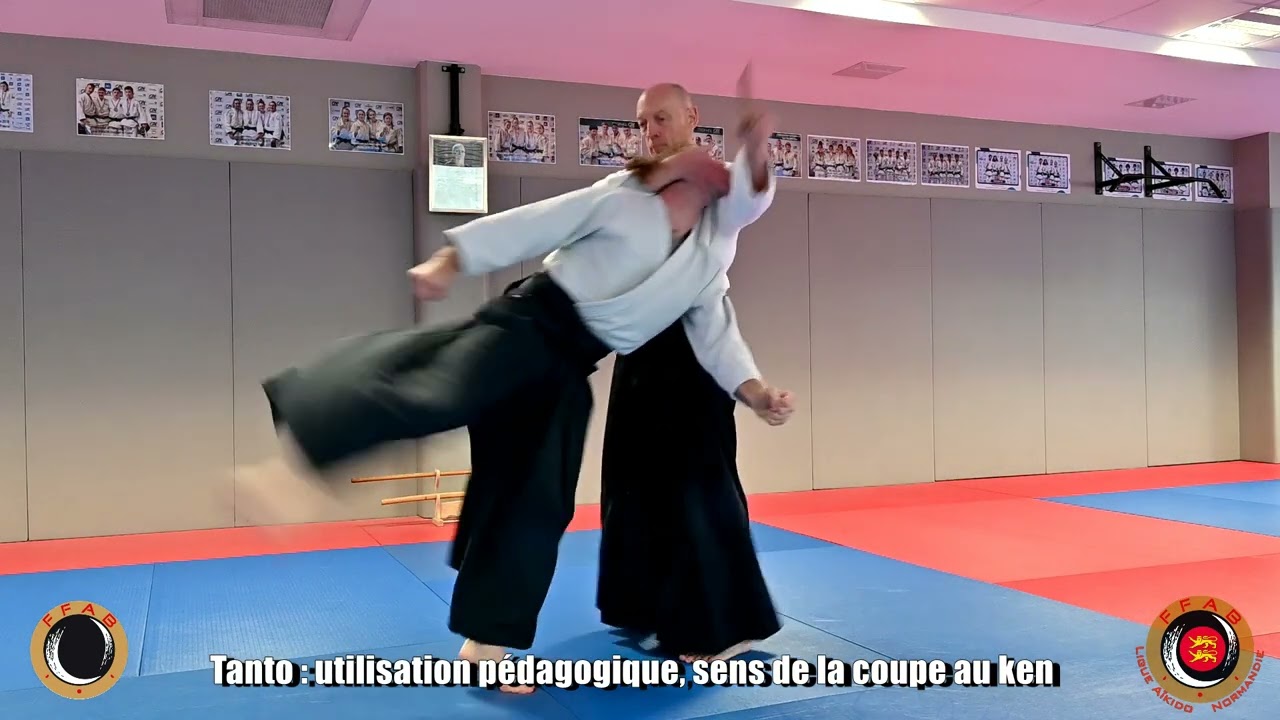 Aïkido : Jean-François Fabre 6è Dan et Cédric Chort 5è Dan, EDC Normandie, 18-19 octobre 2025 (9/9)