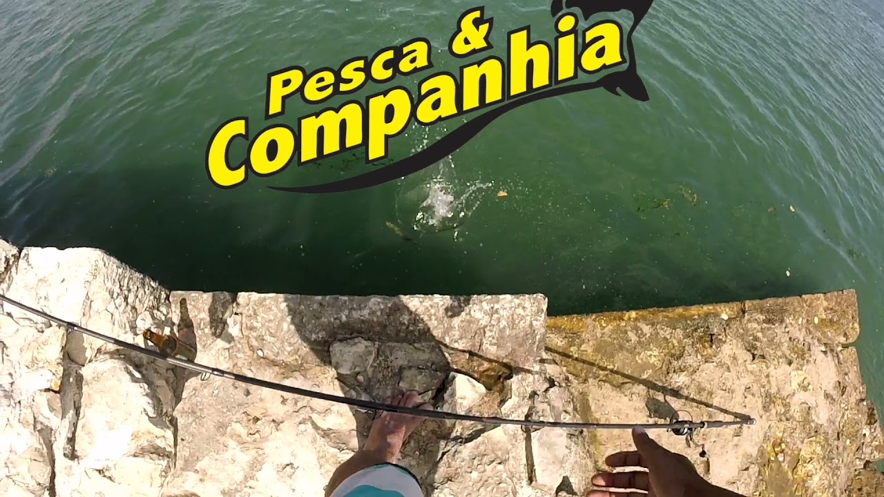 Pesca de cavala em Portugal.