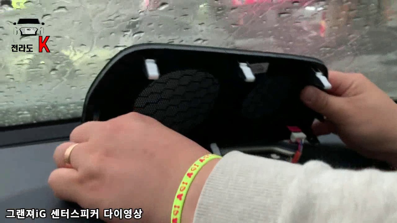 팰리도호환가능한