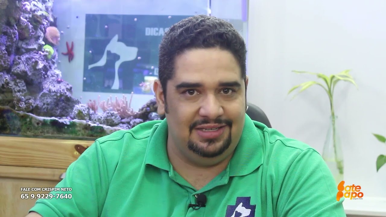 Meu Pet engoliu uma meia, e a gora? - Dicas do Mundo Pet