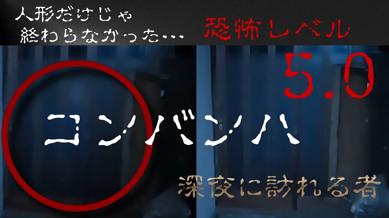 【衝撃】こんなんもぅ無理よ…!! 深夜の訪問者が調査員に迫る!!!