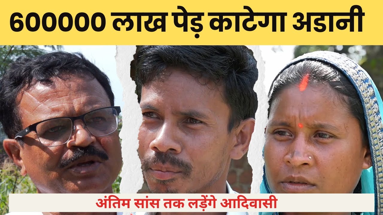 छत्तीसगढ़ में अडानी क्यों काटने जा रहा 600000 लाख पेड़ ? आदिवासियों ने कहा- अंतिम सांस तक लड़ेंगे.
