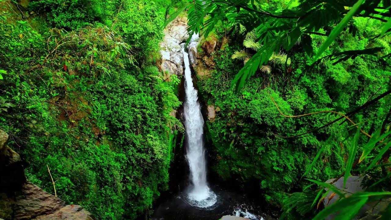 River Sound Relaxing – Gentle River Flow for Relaxation, Sleep and Stress Relief